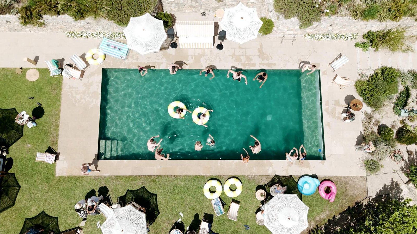 Anteia_Barrett_IMG_09